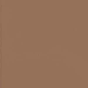 Meet your Posher, Brittney